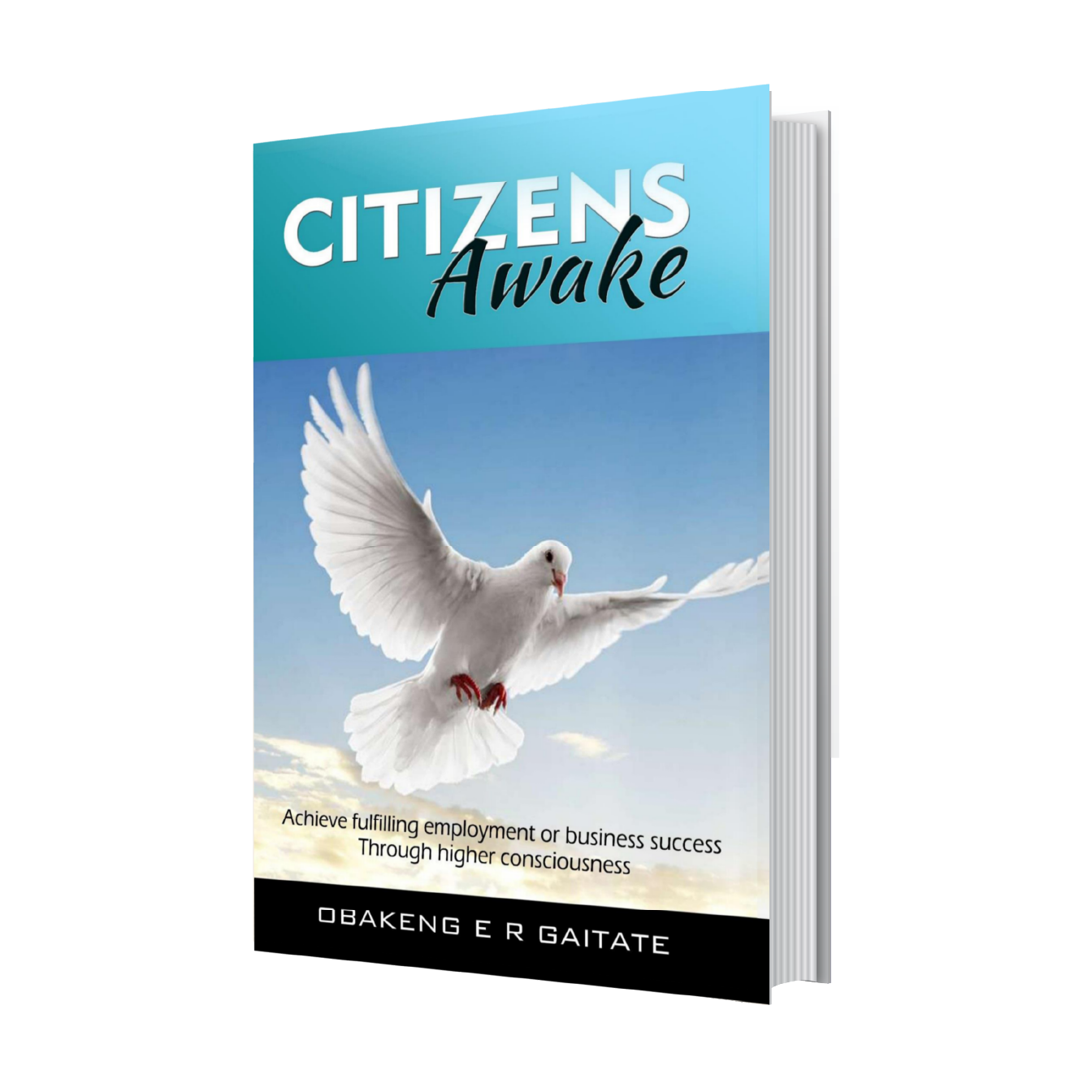 Citizens Awake Billionaire Business Training citizens-awake-billionaire-business-training